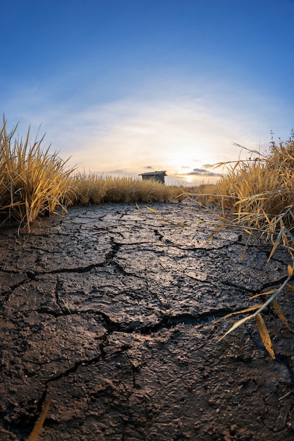 Paysage de fissure de terre en automne avec le ciel de lever de soleil