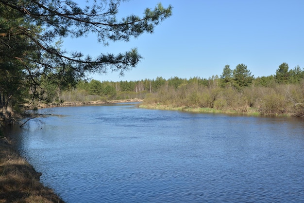 Paysage fluvial au début du printemps