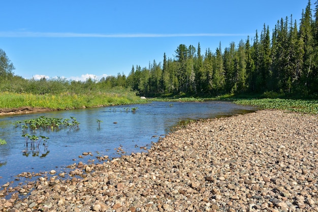 Paysage fluvial d'été dans le parc national du Nord