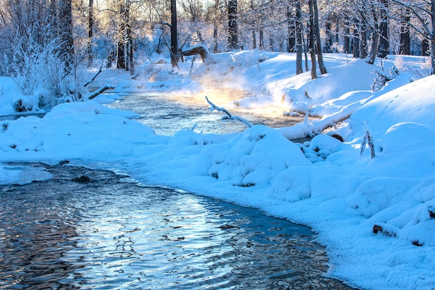 Paysage fluvial d'hiver avec brouillard