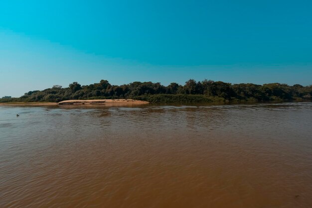 Paysage fluvial et junglePantanal Brésil