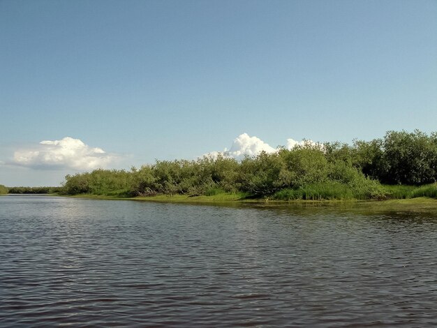 Paysage fluvial Rennes du Nord dans la forêt d'été Le ciel gr