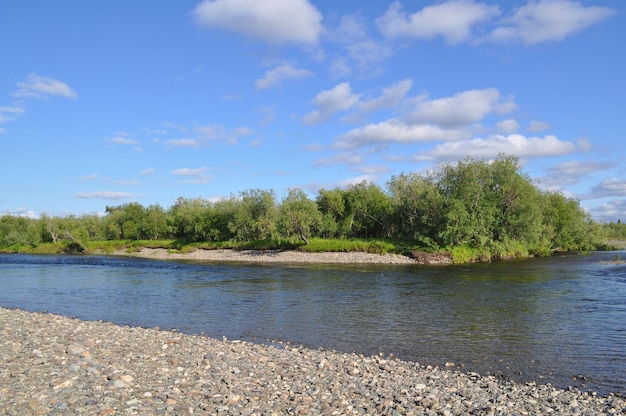 Paysage fluvial sauvage dans l'Oural polaire