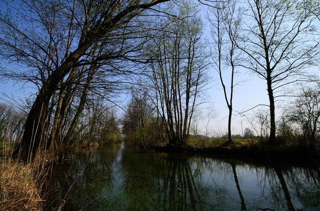 Paysage fluvial