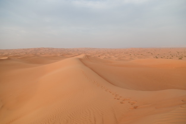 Paysage de fond de désert