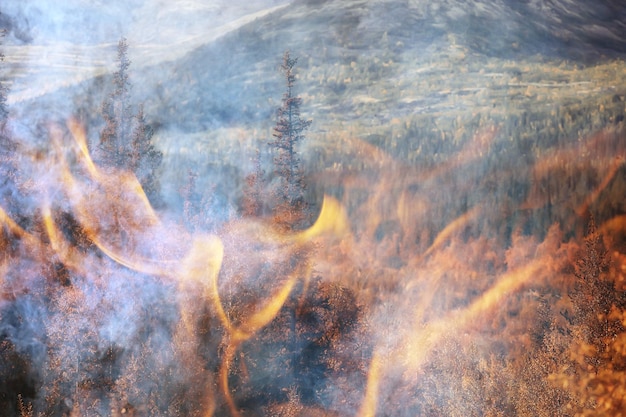 paysage de fond de feu de forêt, feu abstrait et fumée dans la forêt, les arbres de sécheresse brûlent