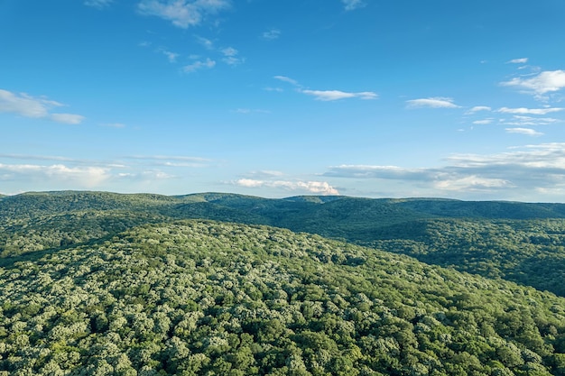 Paysage forestier aérien Forêt européenne. Beau paysage de montagne, avec des sommets couverts de forêt.