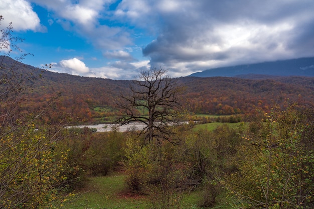 Paysage forestier d'automne dans les montagnes