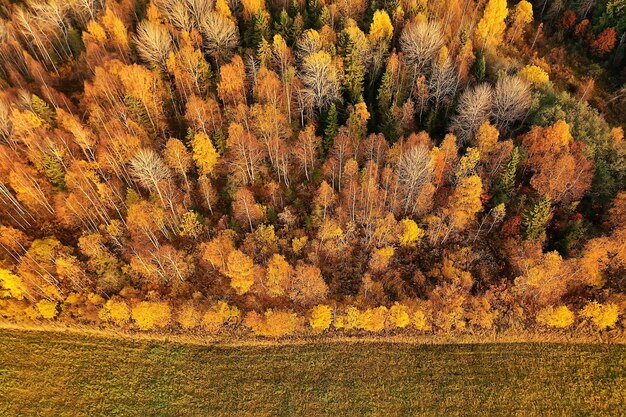 paysage forestier d'automne, vue depuis un drone, photographie aérienne vue d'en haut dans le parc d'octobre