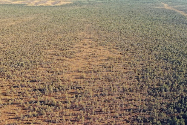 paysage forestier d'automne, vue depuis un drone, photographie aérienne vue d'en haut dans le parc d'octobre