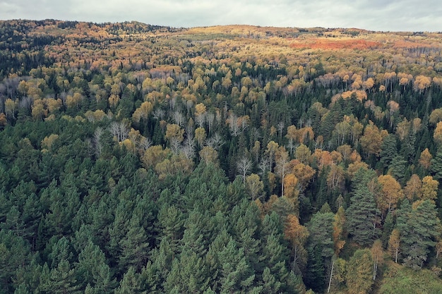 paysage forestier d'automne, vue depuis un drone, photographie aérienne vue d'en haut dans le parc d'octobre