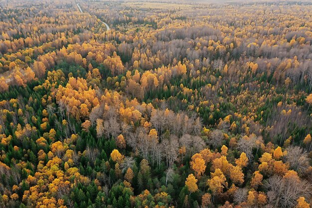 paysage forestier d'automne, vue depuis un drone, photographie aérienne vue d'en haut dans le parc d'octobre