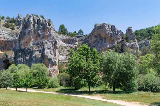 Photo paysage forestier avec des troncs d'arbres