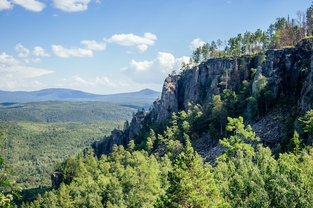 Paysage de forêt de montagne