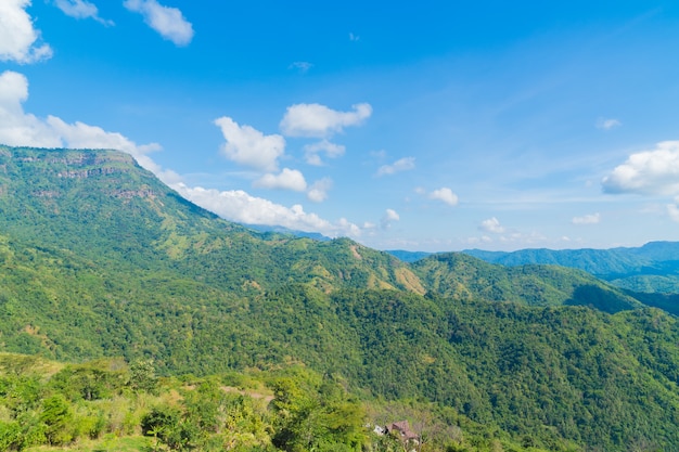 Paysage de forêt et de montagne.