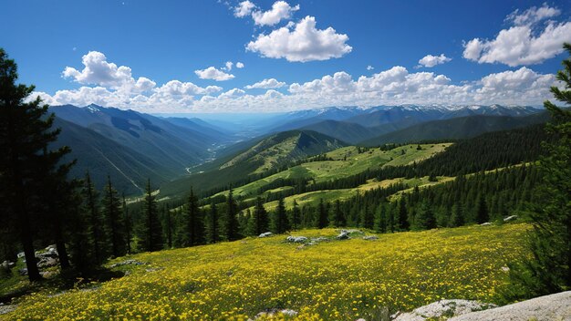 Paysage de forêt de montagnes et ciel avec nuages