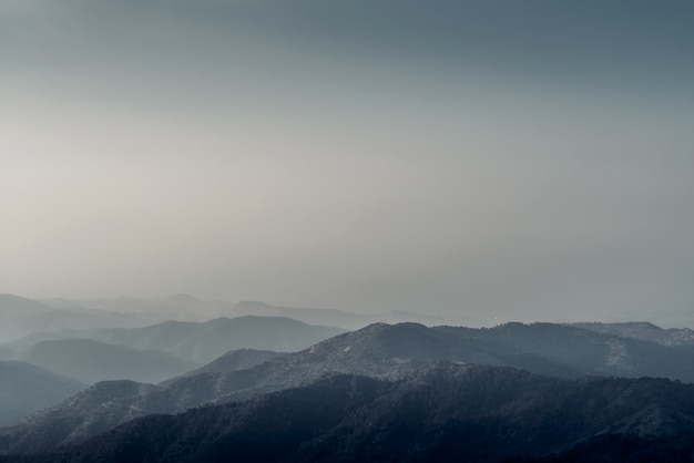 Paysage de forêt et de montagnes