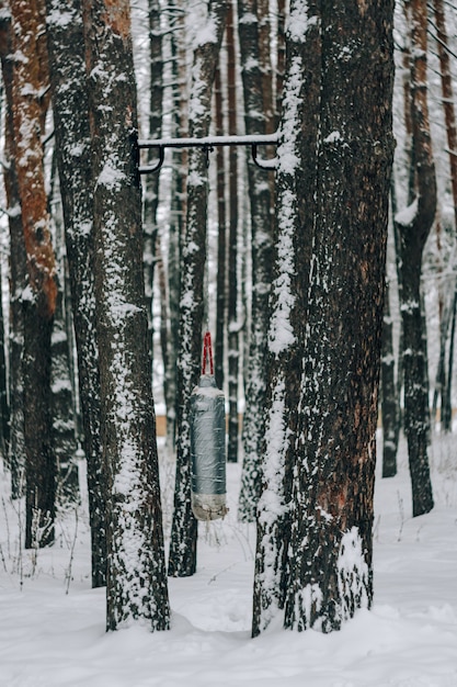 Paysage d'une forêt de pins couverte de neige dans une chute de neige