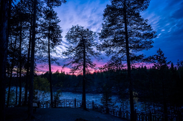 Photo paysage de forêt et rivière au coucher du soleil en finlande, scandinavie