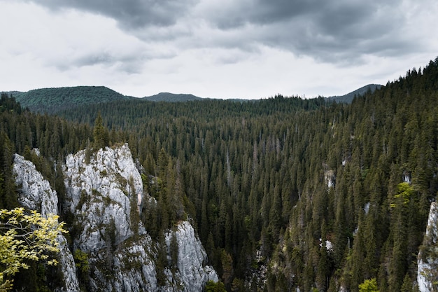 Paysage De Forêts Et De Collines Rocheuses Sous Un Ciel D'orage Par Une Journée Sombre