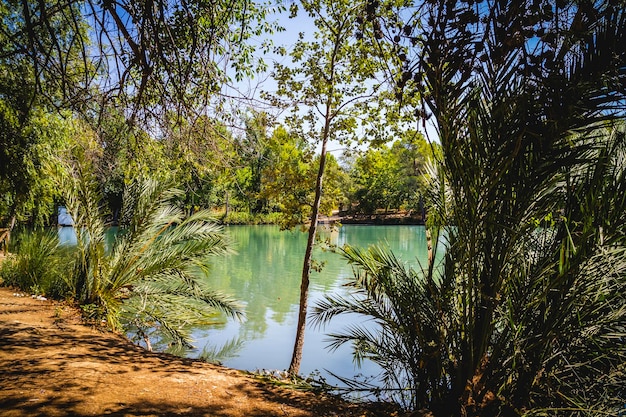 paysage avec forêts et lac naturel à Valence, Espagne