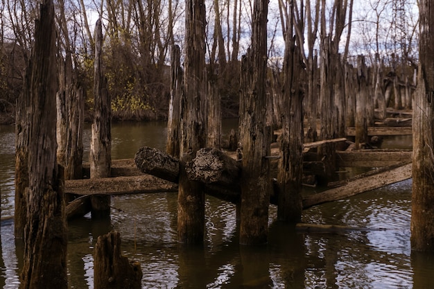 Paysage avec des fragments de piles en bois du vieux pont détruit se bouchent