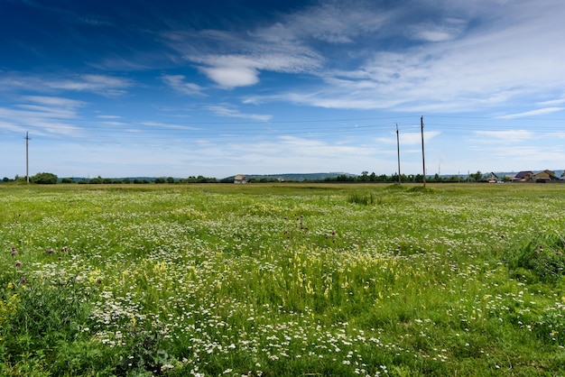 Paysage frais d'une ligne de poteaux électriques avec des câbles d'électricité dans un champ vert