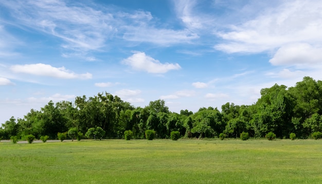 Paysage de gazon et de parc public environnement vert avec un ciel bleu.