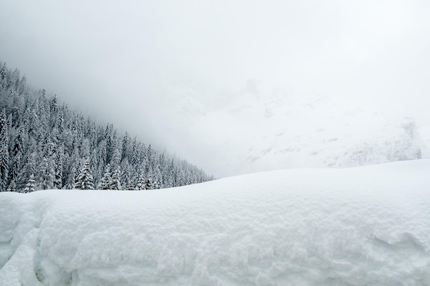 Paysage gelé par temps brumeux