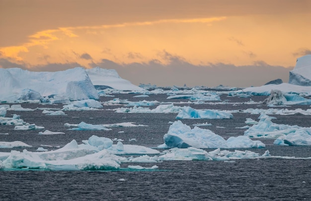 Paysage gelé sauvage Antarctique Péninsule Antarctique