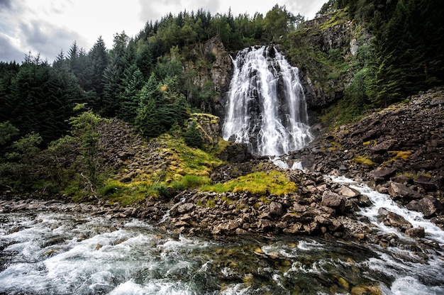 Paysage haut waterfal avec un fond rocheux avec des conifères autour