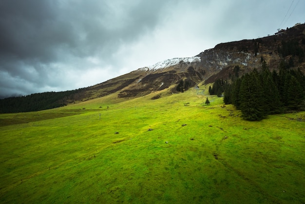 Paysage d&#39;herbe champ par montagne en suisse