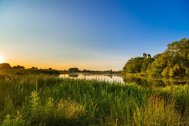 Photo paysage avec de l'herbe de rivière et le coucher du soleil