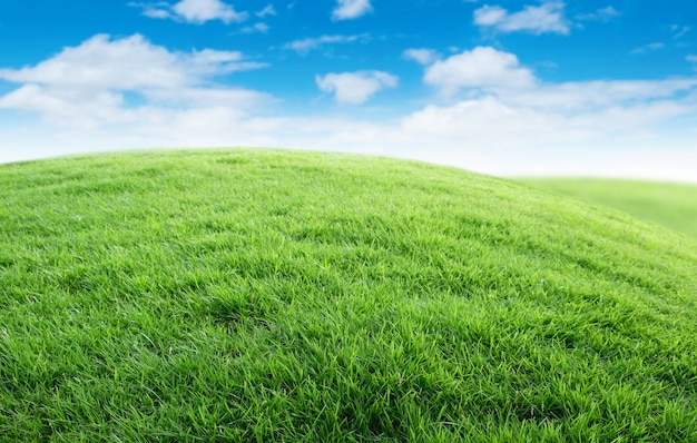 Photo un paysage d'herbe verte avec un ciel bleu