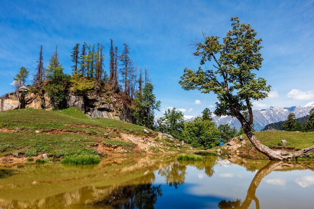 Paysage himalayen indien dans l'Himalaya