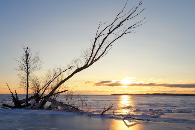 Paysage d'hiver avec accroc sur le lac gelé près du rivage