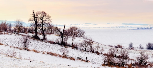 Paysage d'hiver avec des arbres au bord de la rivière au lever du soleil. Panorama