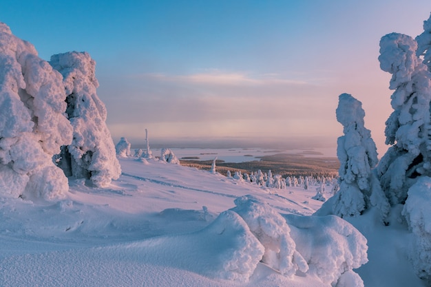 Paysage d'hiver avec des arbres couverts de neige dans la forêt d'hiver en Finlande Laponie.