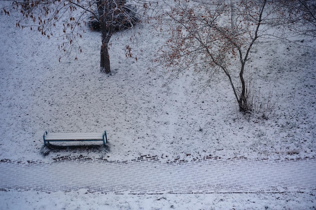 Paysage d'hiver Arbres et plantes recouverts de neige La beauté des sentiers enneigés Neige et refroidissement dans les zones touristiques