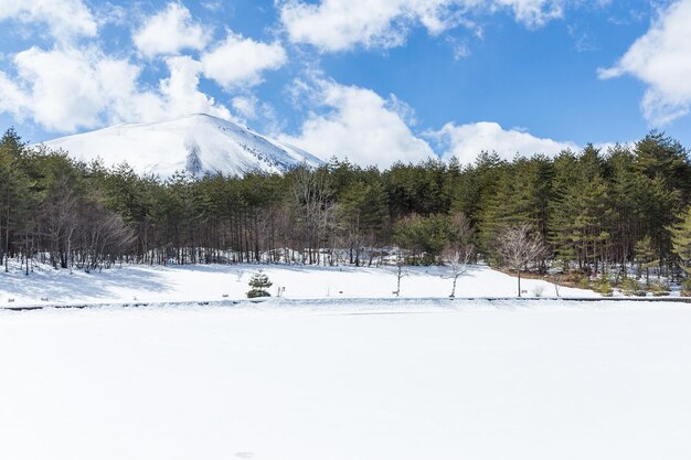 Paysage d'hiver à Asama yama du Japon