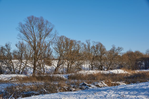 Paysage d'hiver au bord du lac à la périphérie de la ville.