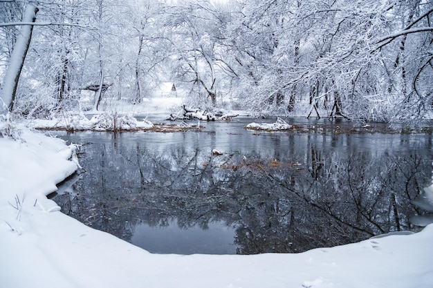 Paysage d'hiver au bord de la rivière Arbres enneigés avec du givre Conte de fées d'hiver