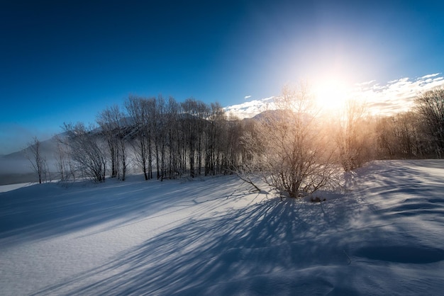 Paysage d'hiver au lever du soleil