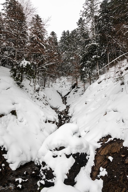 Paysage d'hiver aux Pyrénées après une forte chute de neige.