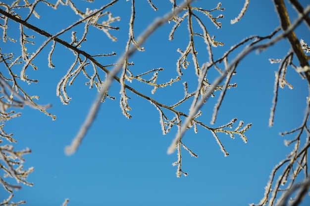 Paysage d'hiver Beauté féerique des rues enneigées Neige et refroidissement dans les zones touristiques