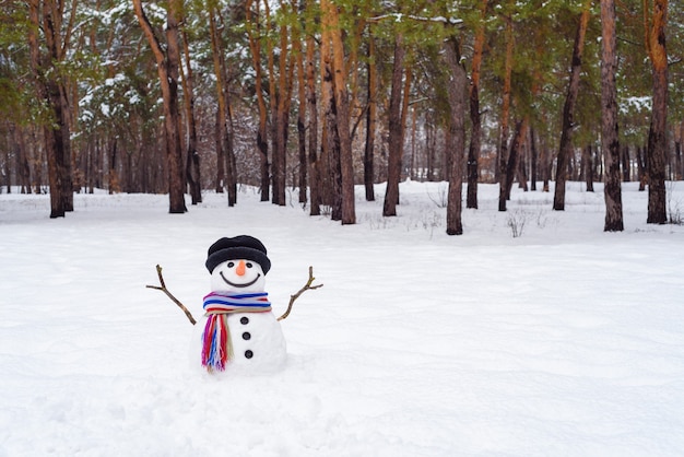 Paysage d'hiver avec un bonhomme de neige dans un parc de la ville. Prairie enneigée près des pins