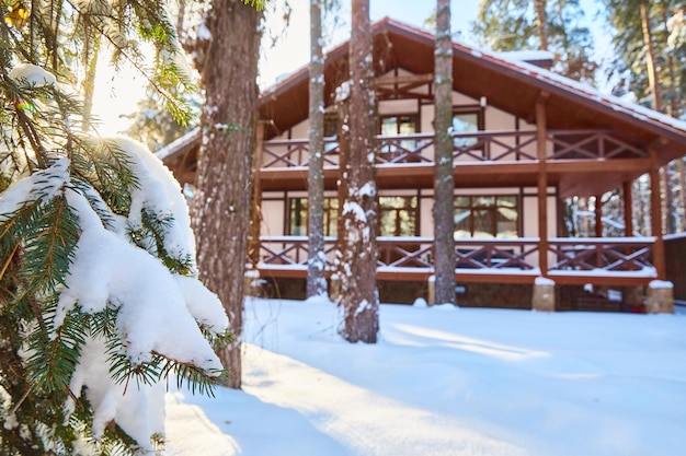 Paysage d'hiver. Une branche de pin dans la neige avec une maison en bois en arrière-plan. Espace de copie