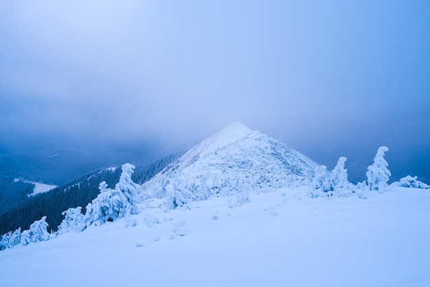 Paysage d'hiver avec brouillard sur une crête de montagne