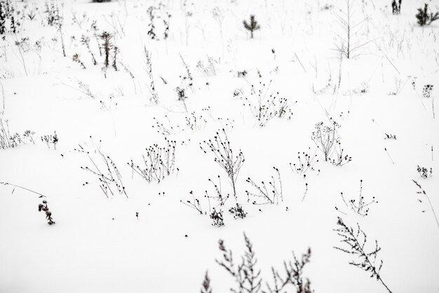 Paysage d'hiver avec campagne enneigée. Paysage d'hiver européen.