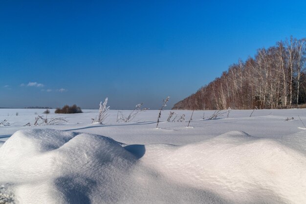 Paysage d'hiver à la campagne avec de la neige blanche au premier plan